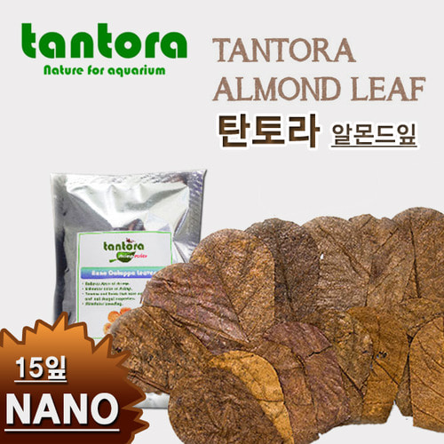 [TANTORA]알몬드 잎-NANO