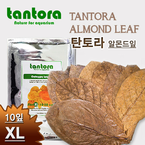 [TANTORA]알몬드 잎-XL