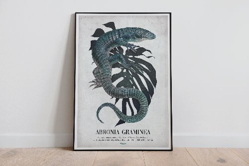 [포스터]아브로니아 A3(297x420)사이즈